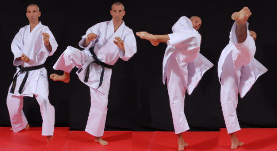 MAWASHI GERI