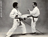 هیدان نیدان