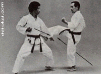 هیدان نیدان