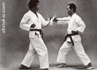 هیدان شُدان