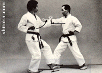 هیدان سندان