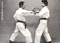 نی فانچین شُدان نی فانچین شُدان