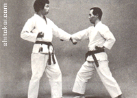 Naifanchin Shodan نی فانچین شُدان