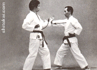 نی فانچین شُدان نی فانچین شُدان