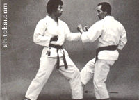 نی فانچین شُدان نی فانچین شُدان