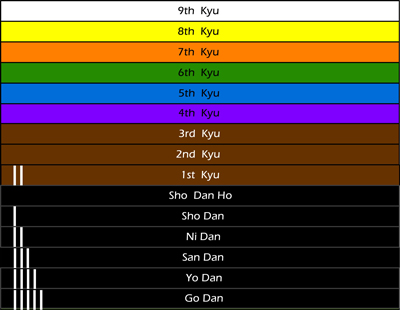 درجات  کمربند ها