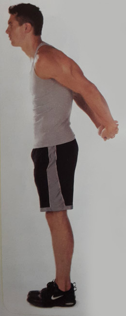 کشش عضلات سینه ای