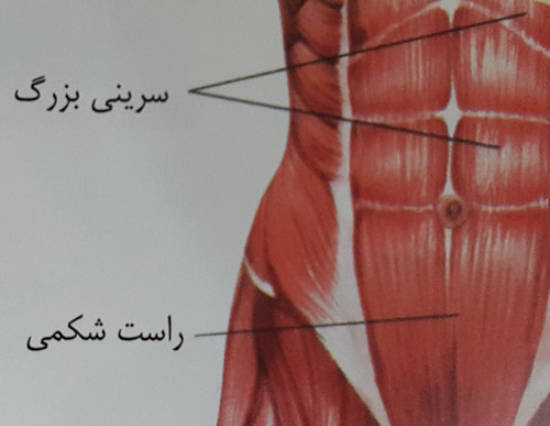 گام های کوتاه