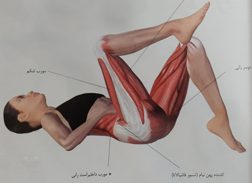 گام های کوتاه