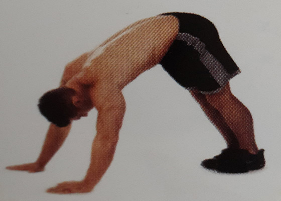 حرکت پلانک به سمت پایین