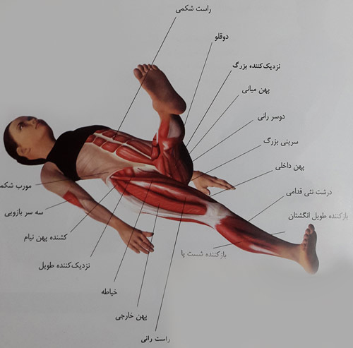 حرکات دورانی یک پا حرکات دورانی یک پا
