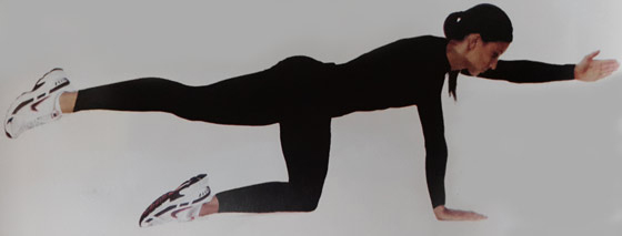 بلند کردن دست وپا از حالت چهار دست و پا بلند کردن دست وپا از حالت چهار دست و پا