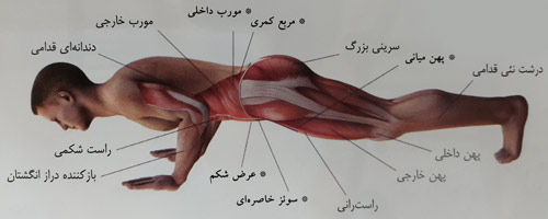 شنا روی دست