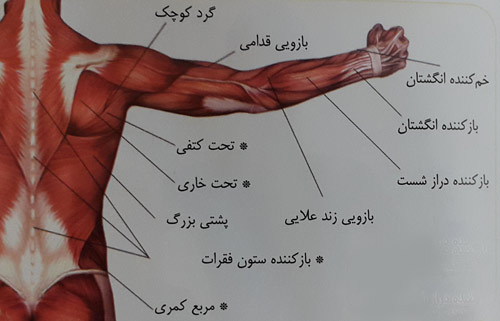دور و نزدیک کردن دست ها روی حوله دور و نزدیک کردن دست ها روی حوله