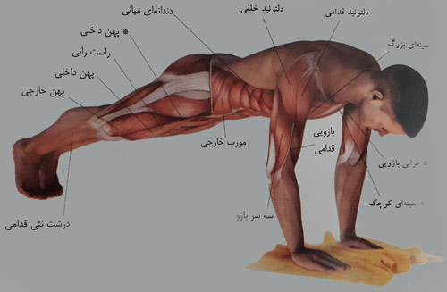 دور و نزدیک کردن دست ها روی حوله دور و نزدیک کردن دست ها روی حوله