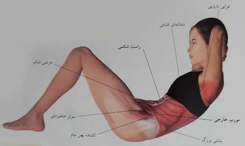 دراز و نشست دراز و نشست