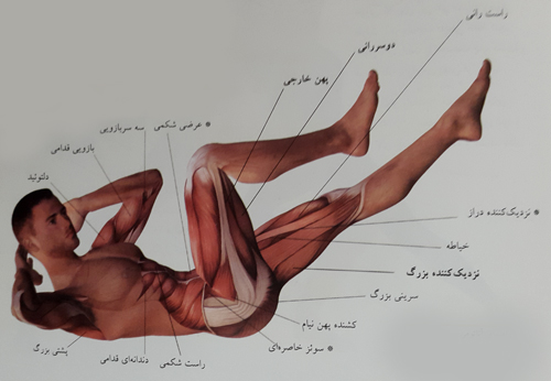 دراز و نشست متقاطع دراز و نشست متقاطع