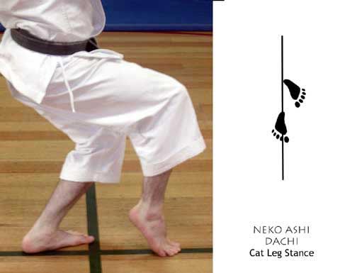 NEKO-ASHI Dachi